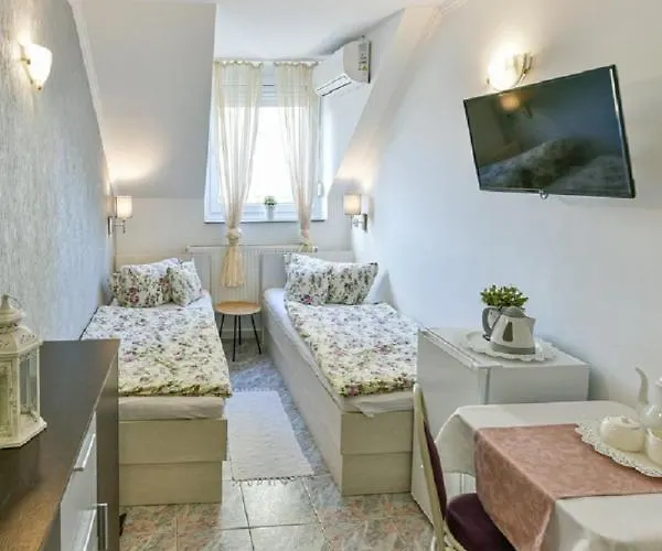 Pensiune Szent Kristof Panzio 3*